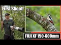 Fuji XF 150-600mm First Wildlife Photography Shoot With New Lens