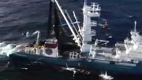 The World's Largest Tuna Fishing Vessel greek subs