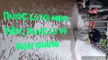 nước lũ về miền Tây, nước lũ về hậu Giang.