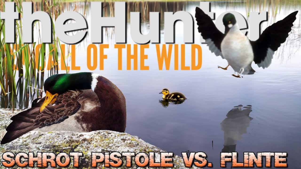 Schrot Pistole vs. Flinte, Not und Elend bei der Entenjagd! | theHunter ... Schrot Pistole vs. Flinte, Not und Elend bei der Entenjagd! | theHunter ...