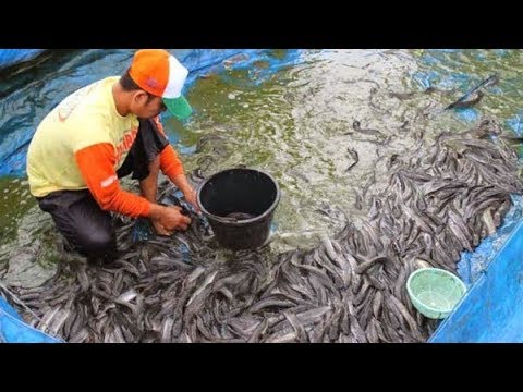 peluang-usaha-rumahan-modal-kecil-untung-besar