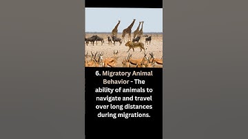 Strange Phenomena and Unusual Phenomenon Explained