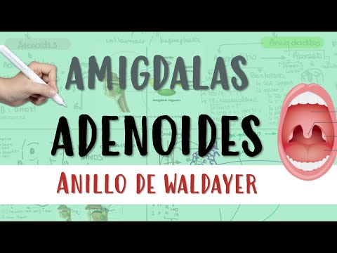 Vídeo: Desrinitis Con Adenoides: Indicaciones, Pros Y Contras