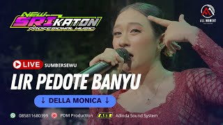 LIR PEDOTE BANYU II cover DELLA MONICA feat NEW SRIKATON live SUMBERSEWU