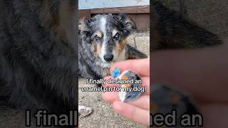 I designed a pin for my dog 🐶 #animals #enamelpins #pets #dog #dogs #australianshepherd #artist