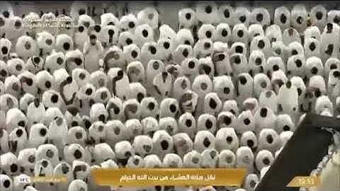 صلاة العشاء من رحاب المسجد الحرام فضيلة الشّيخ ا.د. ياسر بن راشد الدوسري  💡| ماتيسر من سورة الشعراء