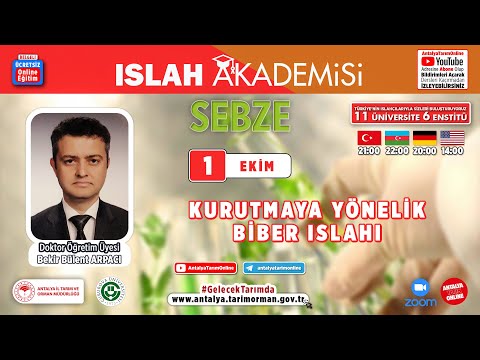 Video: Anaheim Biber Bakımı ve Kullanımları - Anaheim Biberlerinin Nasıl Yetiştirileceğini Öğrenin