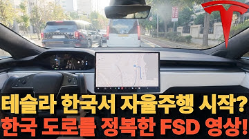 테슬라 한국서 자율주행 시작? 한국 도로를 정복한 FSD 영상!