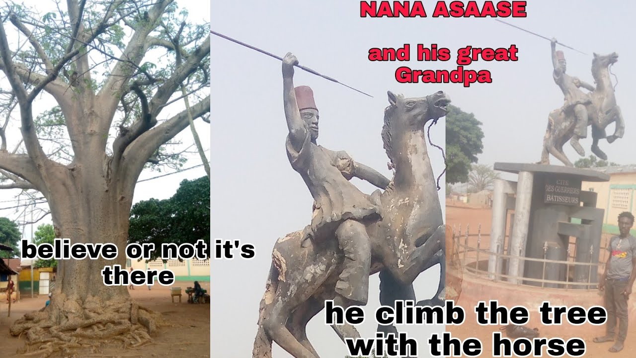 I USED HORSE TO CLIMB TREE AND REINCARNATE AS NANA ASAASE