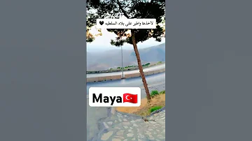 الا اخدها وطير على بلاد السلطيه ترند اكسبلور لايك 