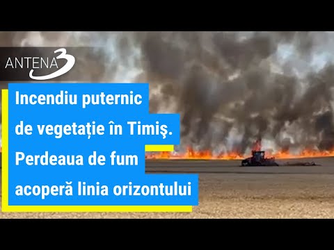 Incendiu puternic de vegetație în Timiş. Perdeaua de fum acoperă linia orizontului