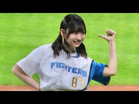 日向坂46 生写真　Love Your 海風とわがまま　20種コンプ　藤嶌果歩 藤嶌果歩 日向坂46 生写真 Love Your 海風とわがまま 20種コンプ