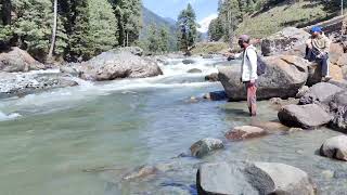 FLY FISHING IN KASHMIR/#kashmir#pahalgam#Flyfishing