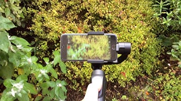 Zhiyun Smooth Q Gimbal