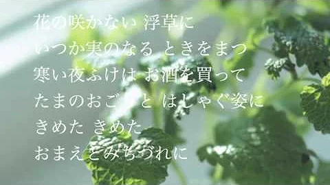みちづれ 中森明菜