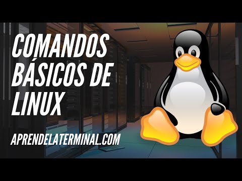 Video: ¿Cómo confirmo un archivo en la Terminal?