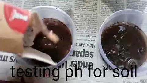 how to test ph in soil without a kit