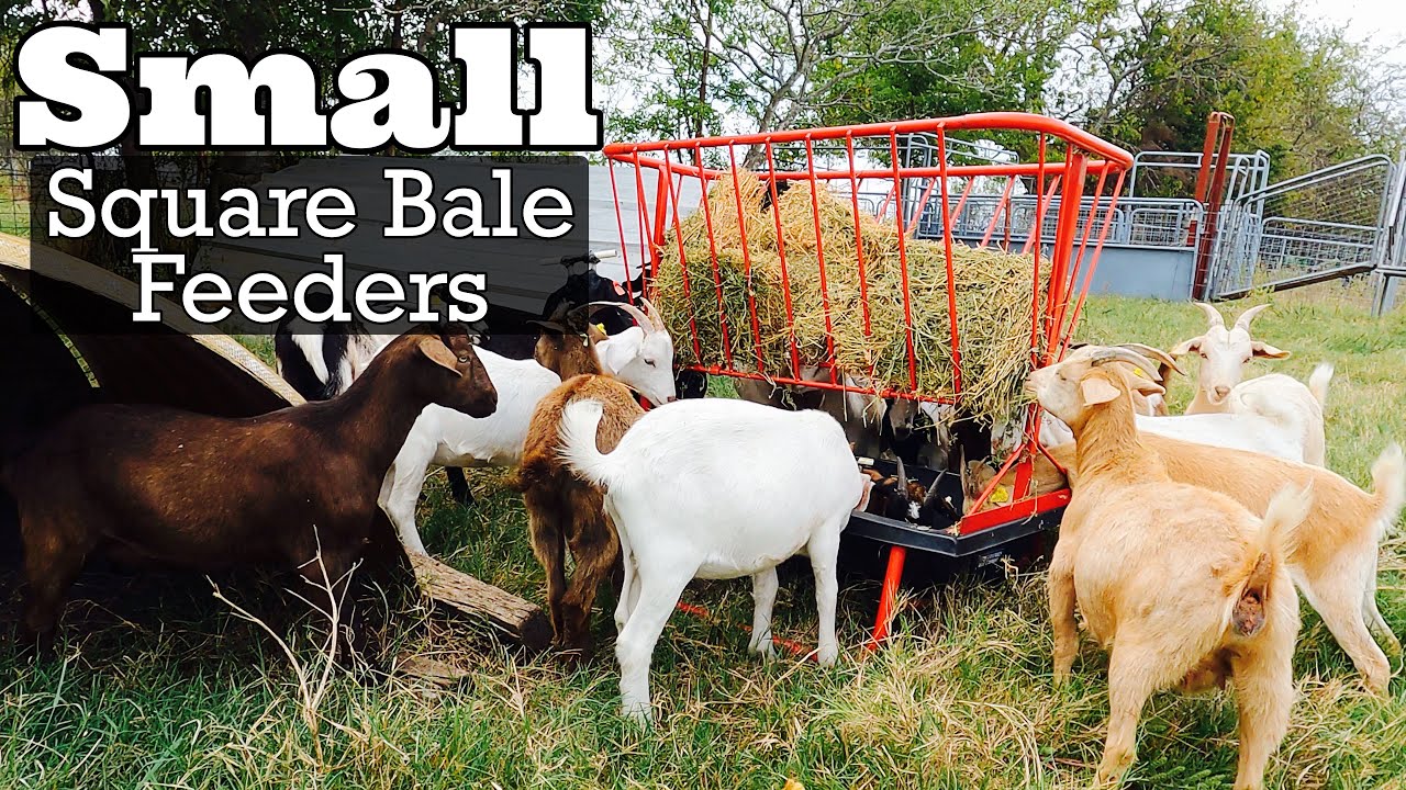 Round Bale Hay Feeders For Goats Collapsible Cradle Round Bale Hay
