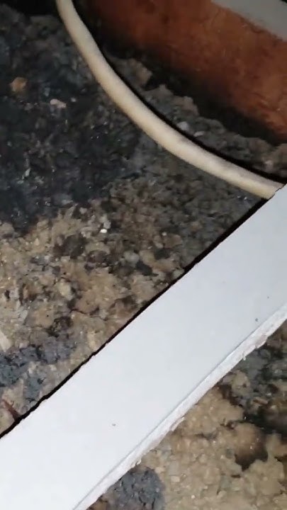 youtube.com