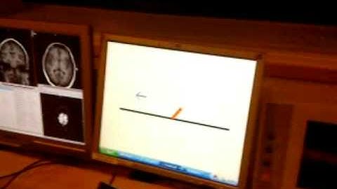 Using Real-Time fMRI to Control a Dynamical System by Brain Activity Classification