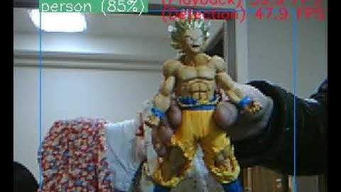 [48 FPS/NCS2 x4] Python+OpenVINO+MobileNet-SSD+MultiProcess+USBCamera RealTime Object-Detection