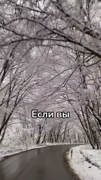 Мудрые мысли 105 #мудрость #цитаты #shortsyoutube #shorts - YouTube