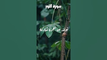 سورة النور💚🤲🏻  #القرآن_الكريم #اكسبلور #المغرب #لايك #الجزائر#السعودية #duet