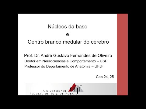 Videoaula - Núcleos da Base e Centro Branco Medular do Cérebro