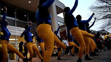 Tenacious Tau Chapter of Sigma Gamma Rho Sorority Inc. Spring 2018 Neophyte Presentation Show
