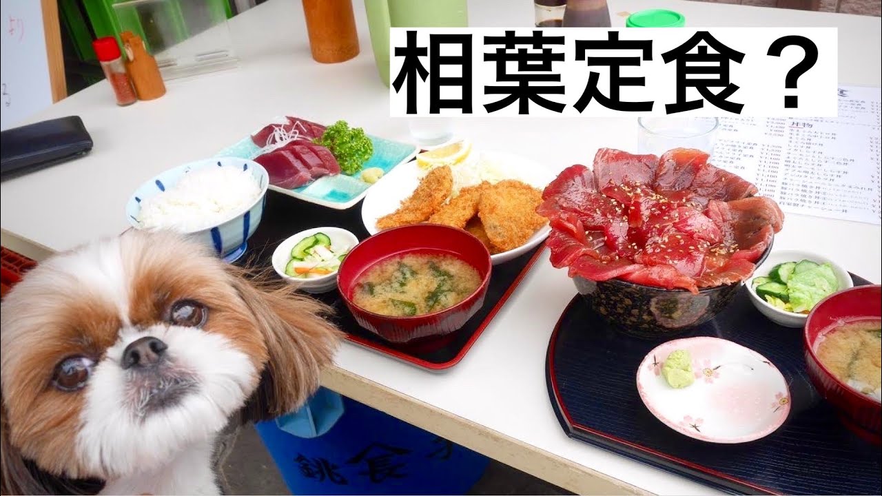 【犬連れ旅】九十九里の絶対オススメのお店