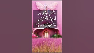 راحة نفسية 🕌تلاوة خاشعة حالات واتس اب دينية مؤثرة