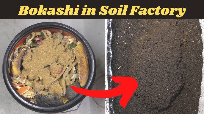 How To Make & Use Bokashi Compost In An Apartment – Ancestral Kitchen