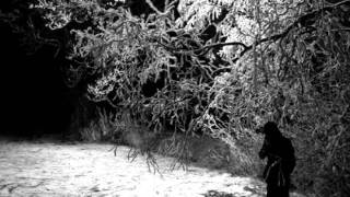 Svarte Greiner - Tunnel Of Love