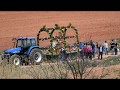 Romería Casas de Ves 2018