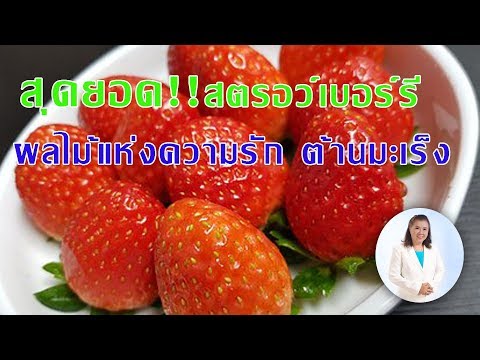 สุดยอด!! สตรอว์เบอร์รี ผลไม้แห่งความรัก ลดคอเลสเตอรอล ต้านมะเร็ง |  พี่ปลาHealthy Fish