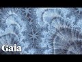 Music Dramatically CHANGES Structure Of Water 