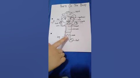 G.K. WORK FOR CLASS UKG. (Please Find the Attachment in description box)