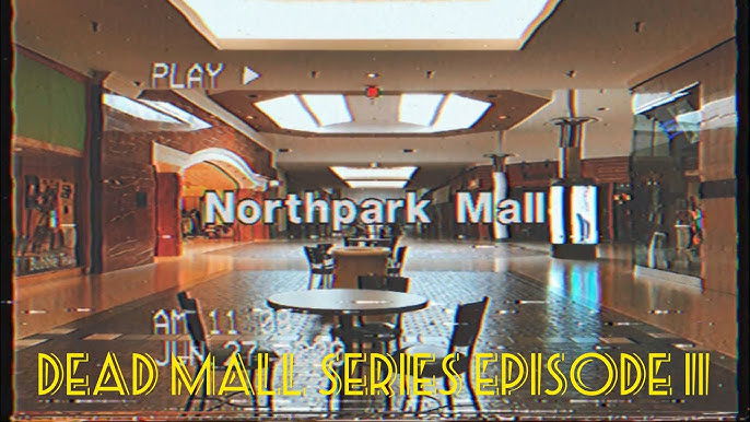 BLACK FRIDAY SPECIAL: Walking Tour of NorthPark Mall, Davenport IA