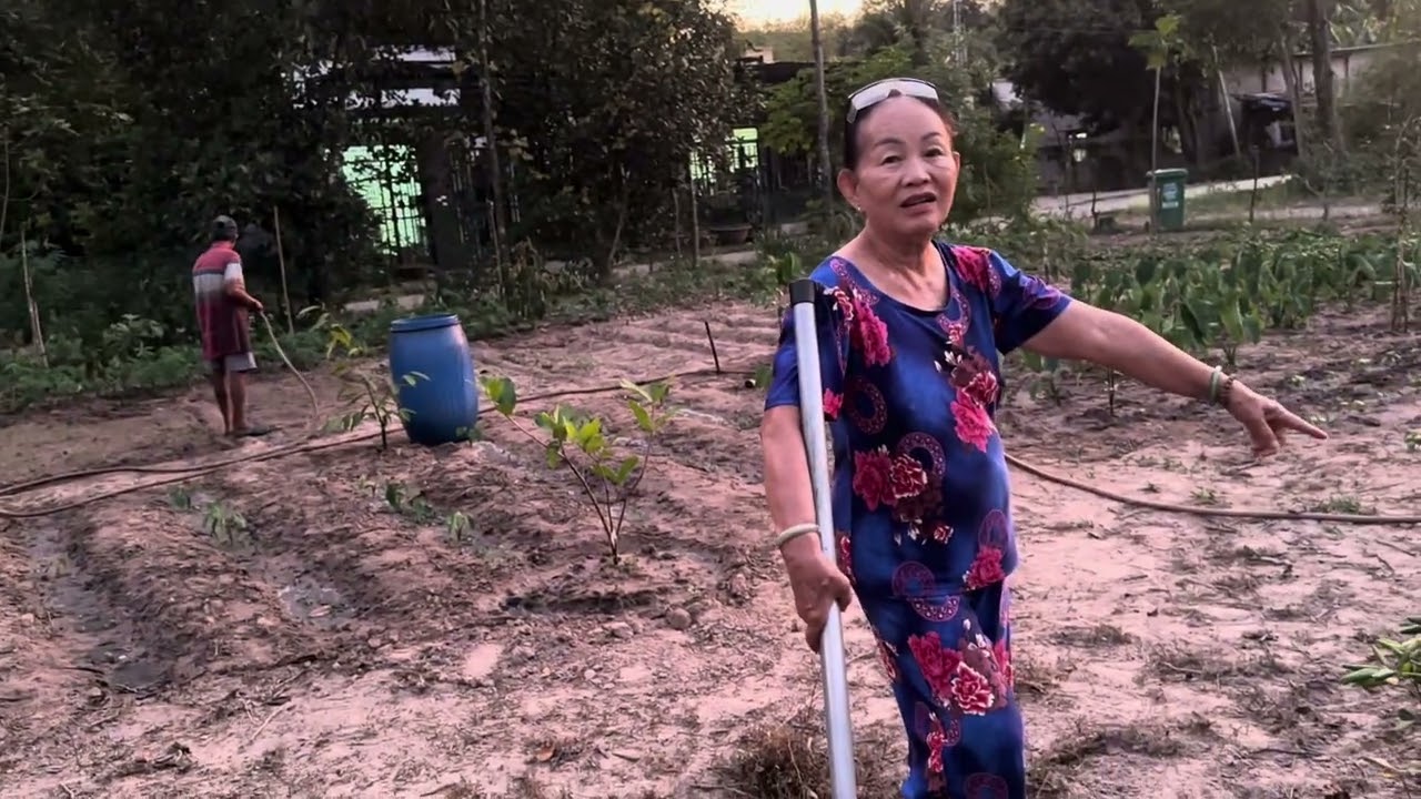 Mami và ba ba chiều chăm sóc vườn 🌽 