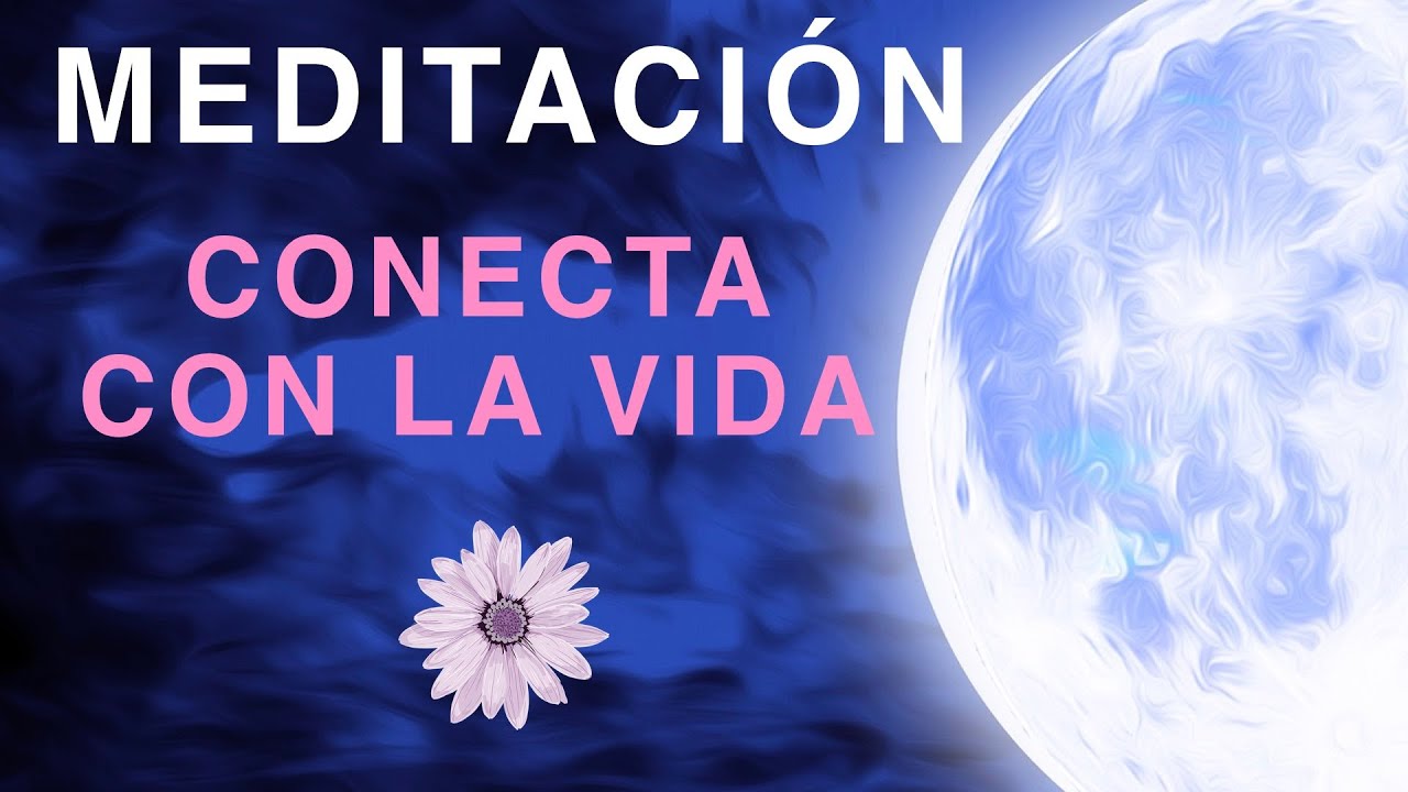 Meditación para Dormir Conectando con el Propósito de tu Vida - YouTube