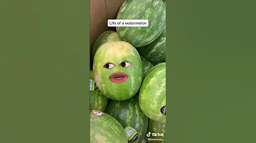 LIFE OF WATERMELON Jimenezzz TikToks Compilation Angel Jimenez TikToks Shorts TikTokTrends 