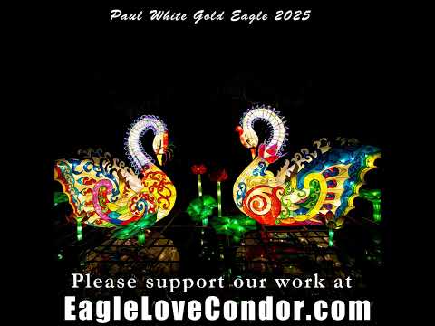 Paul White Gold