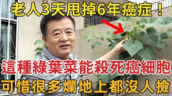 老人3天甩掉6年癌症！日本腫瘤專家已證實：這種綠葉菜能殺死癌細胞！是窮人的救命藥！普通人吃也可以防癌，難怪退休醫生都搶著買【幸福1+1】#養生 #癌症 - 天天要聞