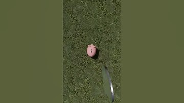 Euro Coin Loop! 💰 #infinite #loop #euro #money #coin #piggybank #macro #relax #satisfying #discover