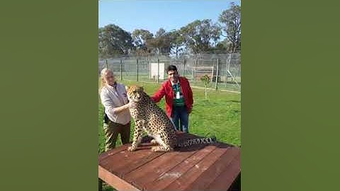 success Stories mr. surendra kumar smart value.