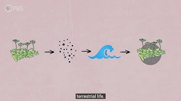 How Plants Caused the First Mass Extinction