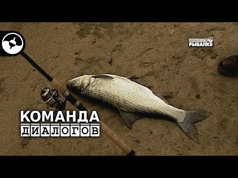 Зимний спиннинг | Классика