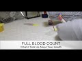 Full blood count  what it tells your doctor about your health