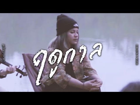 ฤดูกาล - WARIN & KLEE BHO Live at ป่าสนมูเส่คี