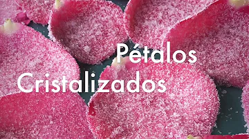 ¿Son comestibles todos los pétalos de rosa?